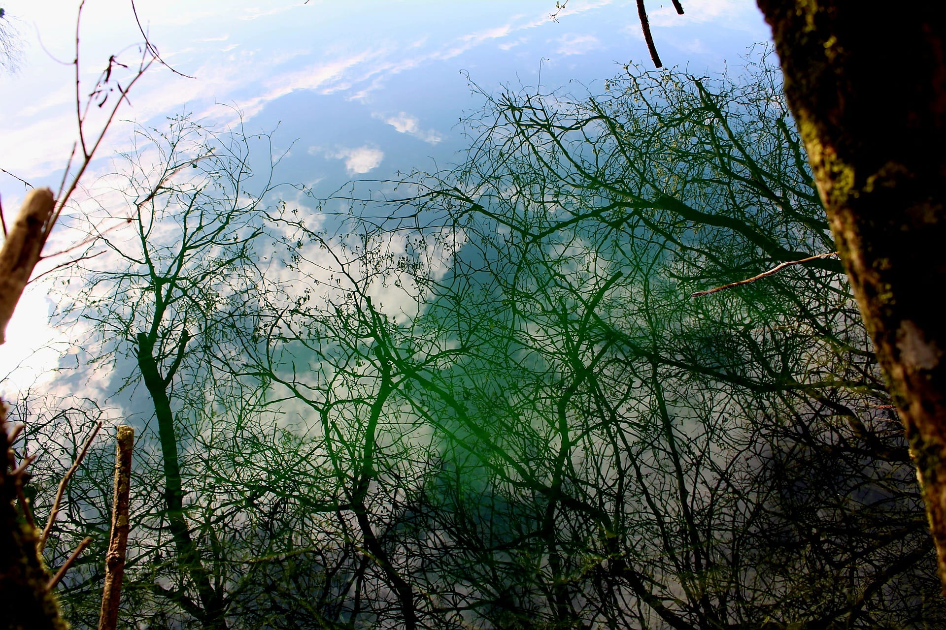 Tranquillity Lakes — carp lakes and woodland in the Ardennes, France