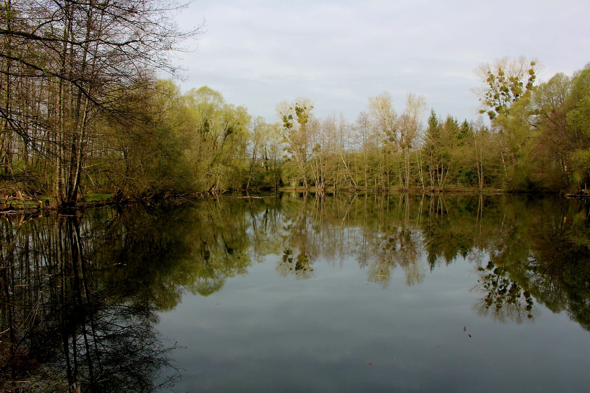 Tranquillity Lakes — carp lakes and woodland in the Ardennes, France